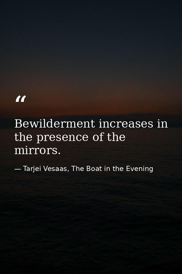 Bewilderment increases in the presence of the mirrors. — Tarjei Vesaas, The Boat in the Evening