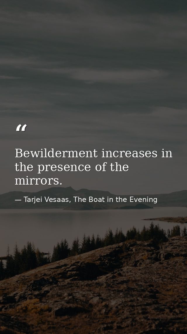 Bewilderment increases in the presence of the mirrors. — Tarjei Vesaas, The Boat in the Evening