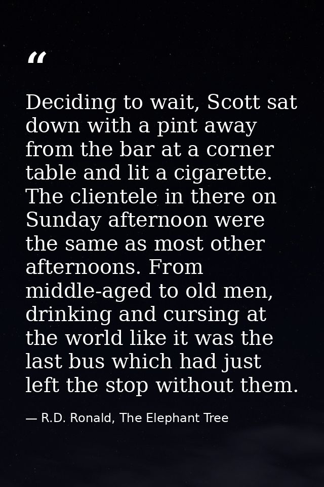 Deciding to wait, Scott sat down with a pint away from the bar at a corner table and lit a cigarette. The clientele in t — R.D. Ronald, The Elephant Tree
