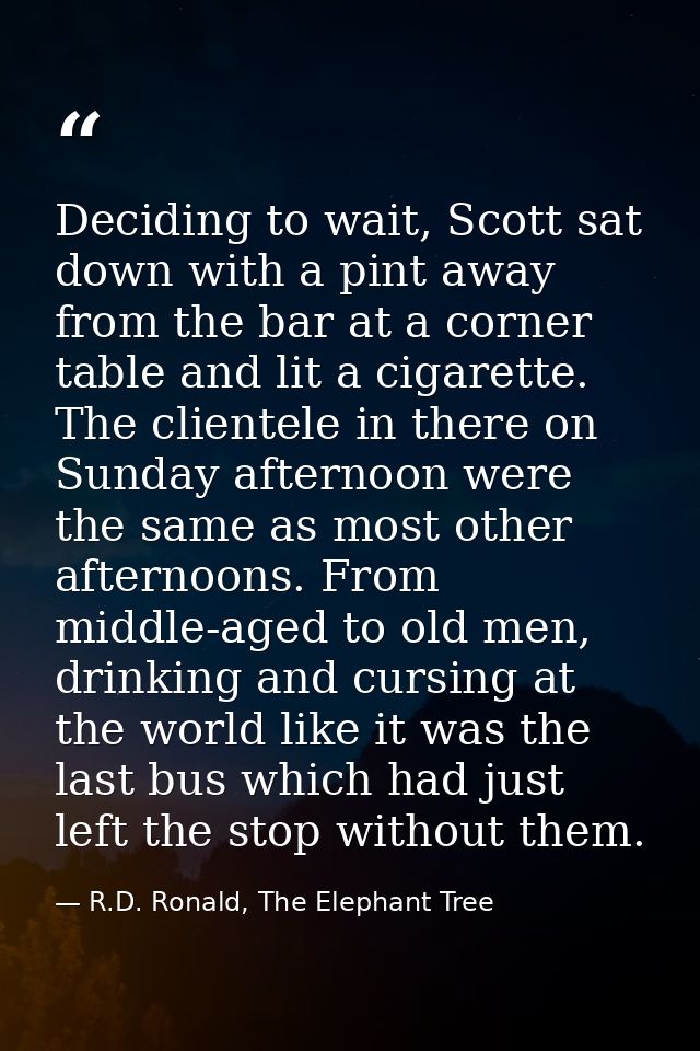 Deciding to wait, Scott sat down with a pint away from the bar at a corner table and lit a cigarette. The clientele in t — R.D. Ronald, The Elephant Tree