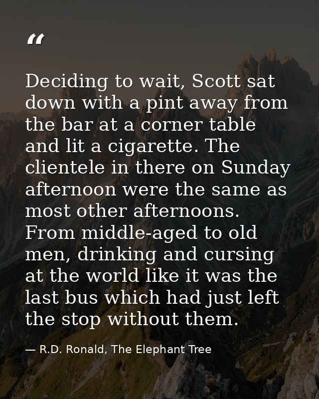Deciding to wait, Scott sat down with a pint away from the bar at a corner table and lit a cigarette. The clientele in t — R.D. Ronald, The Elephant Tree