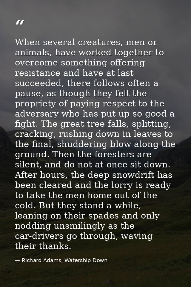 When several creatures, men or animals, have worked together to overcome something offering resistance and have at last  — Richard Adams, Watership Down