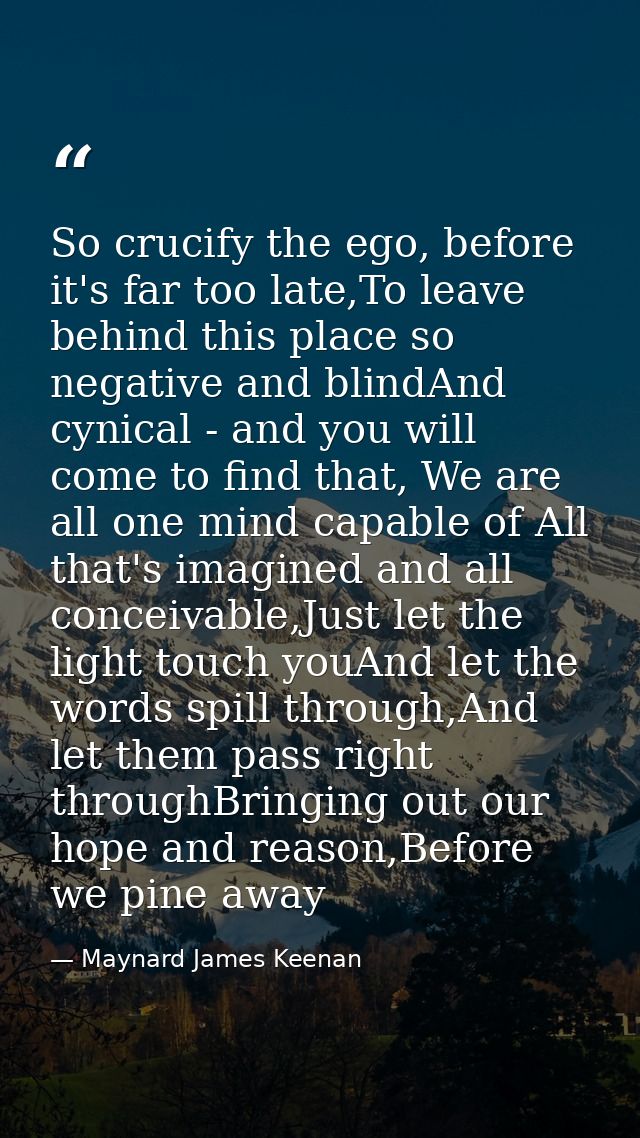 So crucify the ego, before it's far too late,To leave behind this place so negative and blindAnd cynical - and you will  — Maynard James Keenan