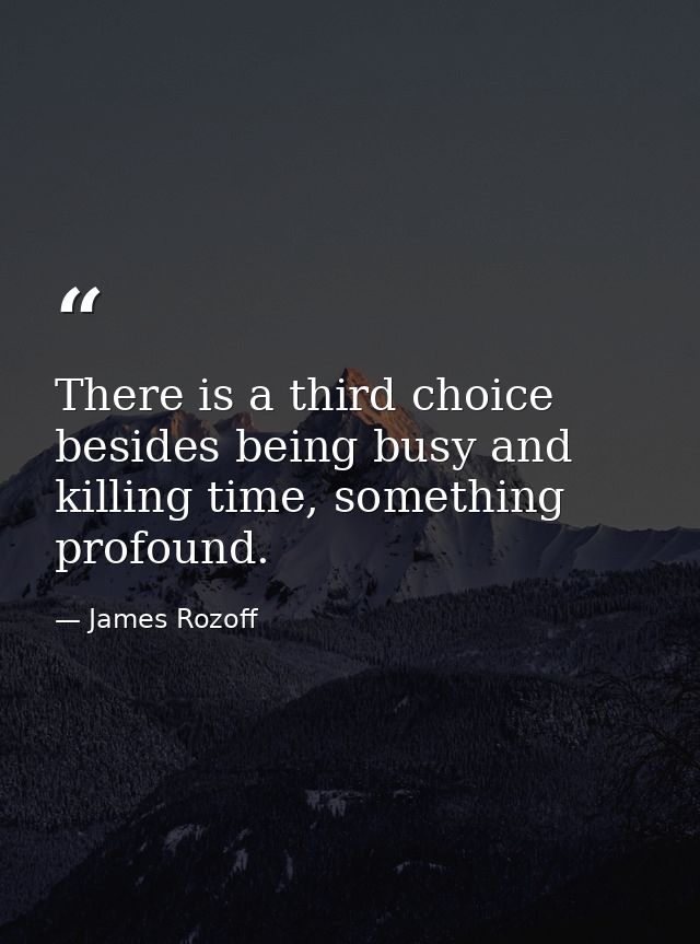 There is a third choice besides being busy and killing time, something profound. — James Rozoff