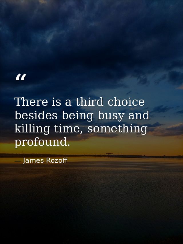 There is a third choice besides being busy and killing time, something profound. — James Rozoff
