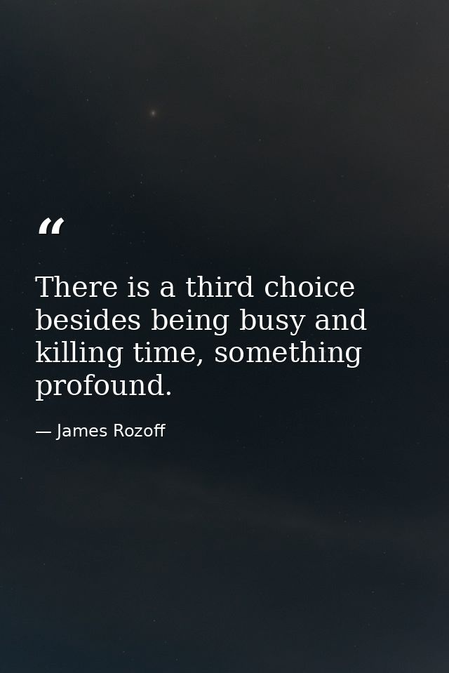 There is a third choice besides being busy and killing time, something profound. — James Rozoff