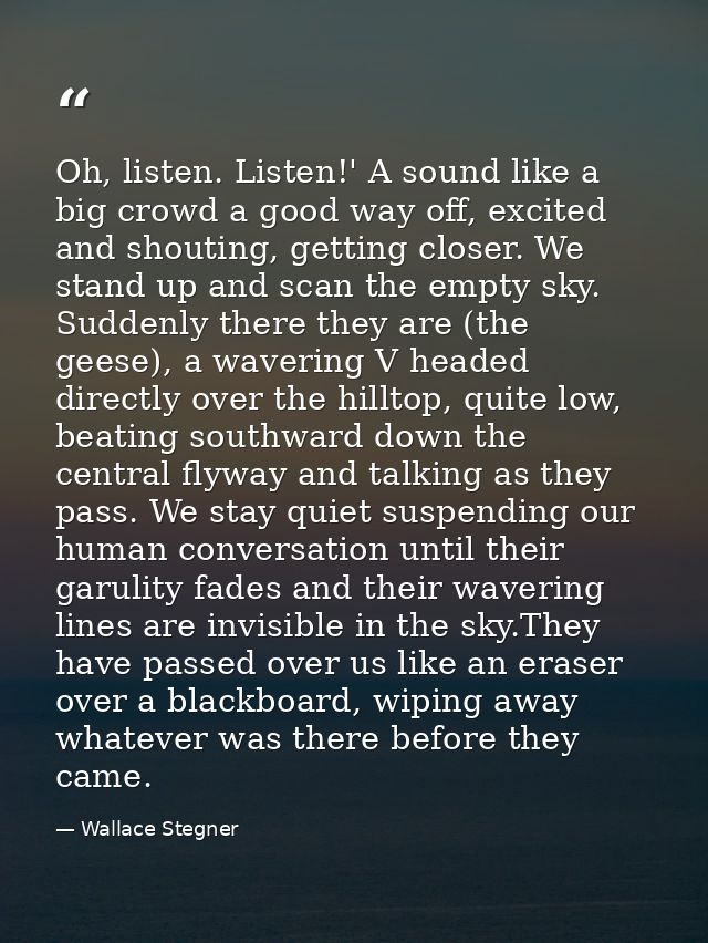 Oh, listen. Listen!' A sound like a big crowd a good way off, excited and shouting, getting closer. We stand up and scan — Wallace Stegner
