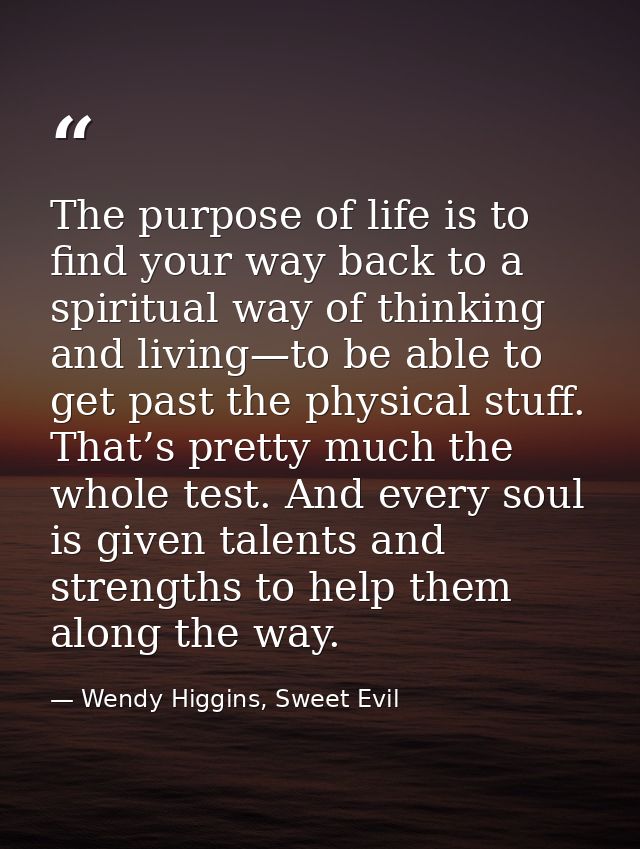 The purpose of life is to find your way back to a spiritual way of thinking and living—to be able to get past the physic — Wendy Higgins, Sweet Evil