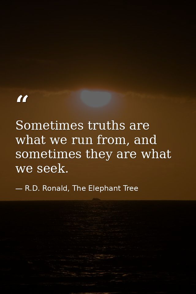 Sometimes truths are what we run from, and sometimes they are what we seek. — R.D. Ronald, The Elephant Tree