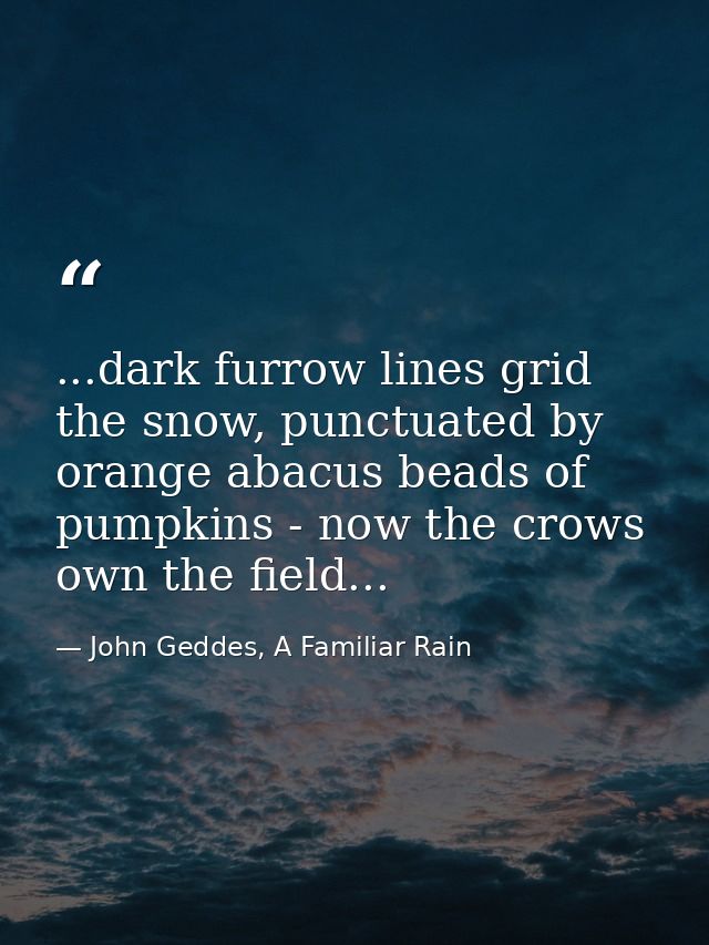 ...dark furrow lines grid the snow, punctuated by orange abacus beads of pumpkins - now the crows own the field... — John Geddes, A Familiar Rain