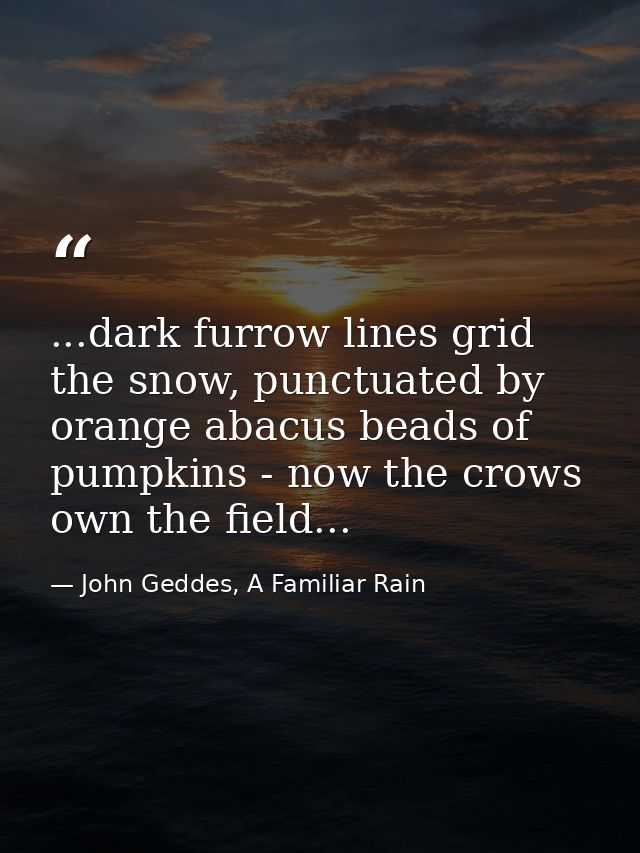 ...dark furrow lines grid the snow, punctuated by orange abacus beads of pumpkins - now the crows own the field... — John Geddes, A Familiar Rain