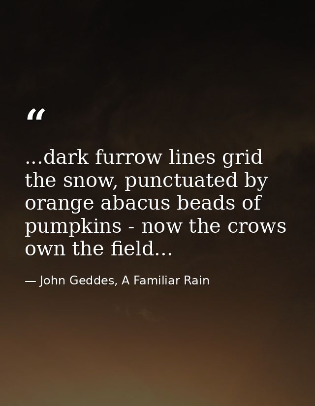 ...dark furrow lines grid the snow, punctuated by orange abacus beads of pumpkins - now the crows own the field... — John Geddes, A Familiar Rain