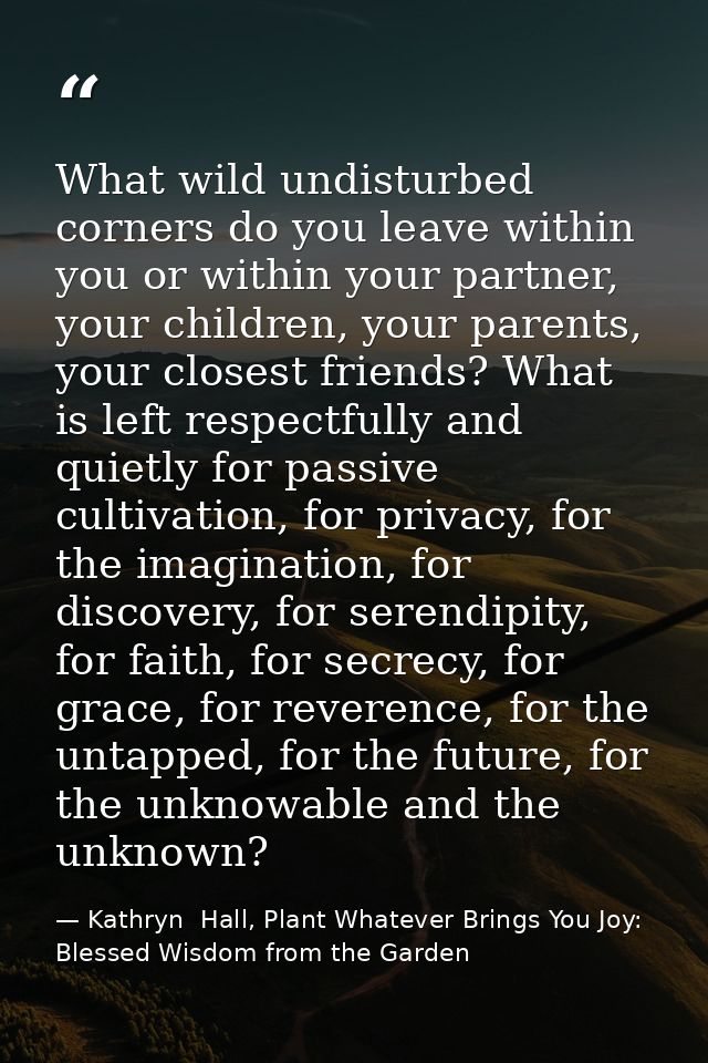 What wild undisturbed corners do you leave within you or within your partner, your children, your parents, your closest  — Kathryn  Hall, Plant Whatever Brings You Joy: Blessed Wisdom from the Garden