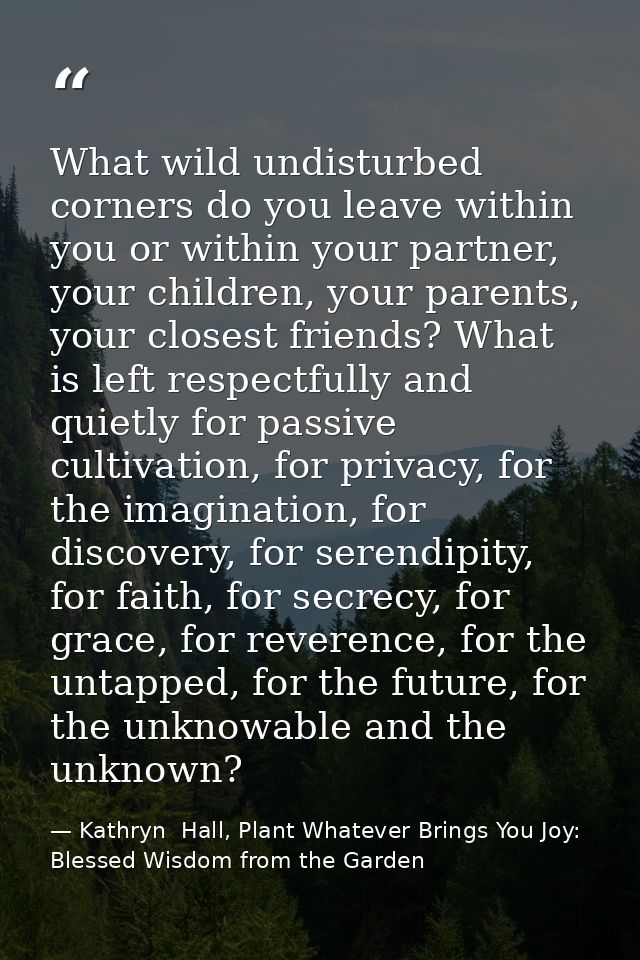 What wild undisturbed corners do you leave within you or within your partner, your children, your parents, your closest  — Kathryn  Hall, Plant Whatever Brings You Joy: Blessed Wisdom from the Garden