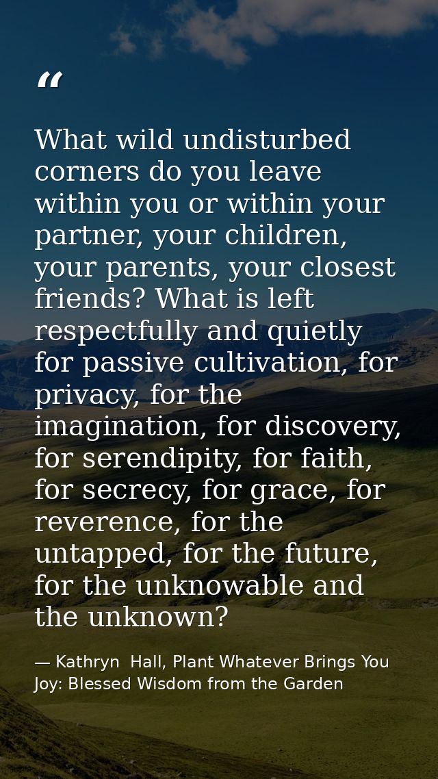What wild undisturbed corners do you leave within you or within your partner, your children, your parents, your closest  — Kathryn  Hall, Plant Whatever Brings You Joy: Blessed Wisdom from the Garden