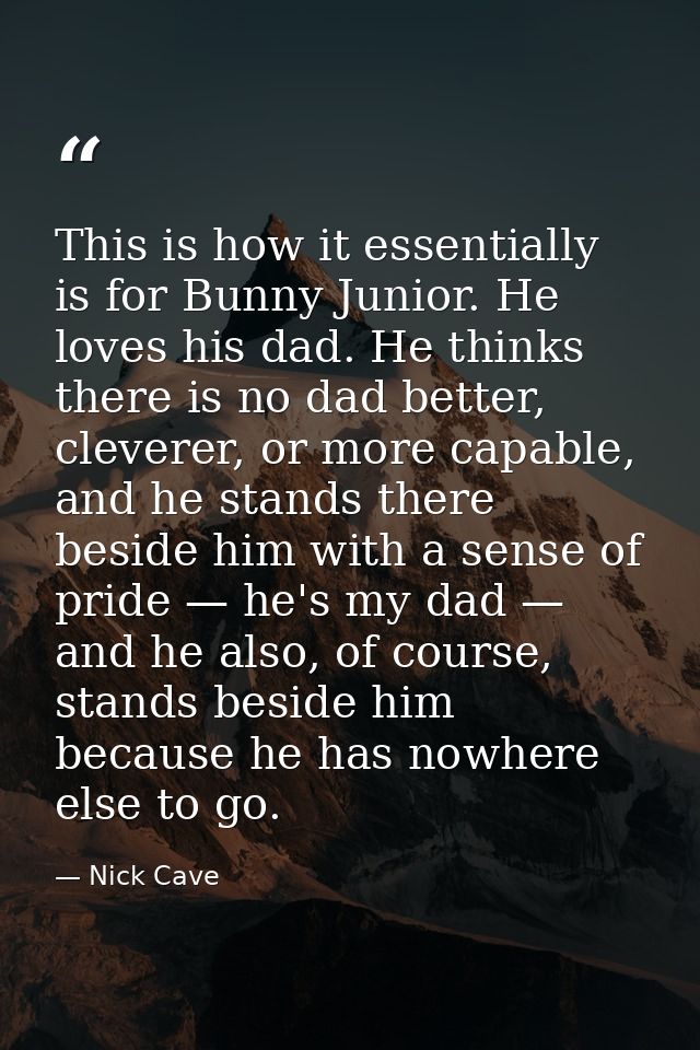 This is how it essentially is for Bunny Junior. He loves his dad. He thinks there is no dad better, cleverer, or more ca — Nick Cave