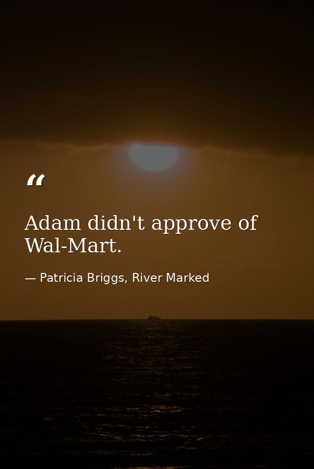 Adam didn't approve of Wal-Mart. — Patricia Briggs, River Marked