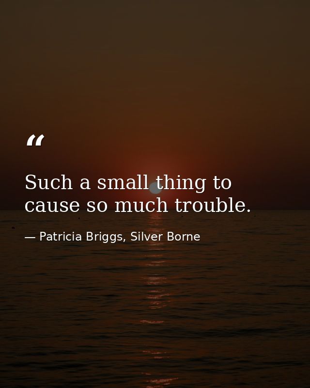 Such a small thing to cause so much trouble. — Patricia Briggs, Silver Borne