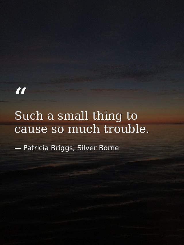 Such a small thing to cause so much trouble. — Patricia Briggs, Silver Borne