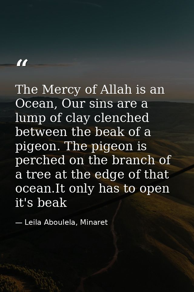 The Mercy of Allah is an Ocean, Our sins are a lump of clay clenched between the beak of a pigeon. The pigeon is perched — Leila Aboulela, Minaret