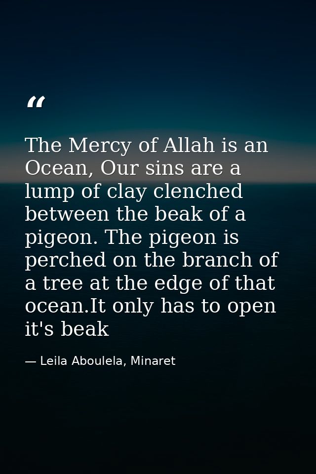 The Mercy of Allah is an Ocean, Our sins are a lump of clay clenched between the beak of a pigeon. The pigeon is perched — Leila Aboulela, Minaret