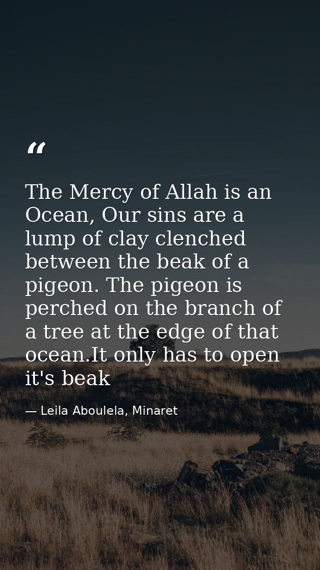 The Mercy of Allah is an Ocean, Our sins are a lump of clay clenched between the beak of a pigeon. The pigeon is perched — Leila Aboulela, Minaret