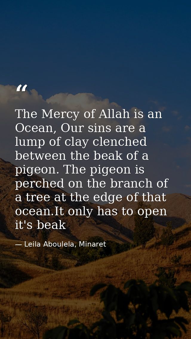 The Mercy of Allah is an Ocean, Our sins are a lump of clay clenched between the beak of a pigeon. The pigeon is perched — Leila Aboulela, Minaret
