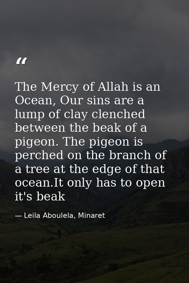 The Mercy of Allah is an Ocean, Our sins are a lump of clay clenched between the beak of a pigeon. The pigeon is perched — Leila Aboulela, Minaret