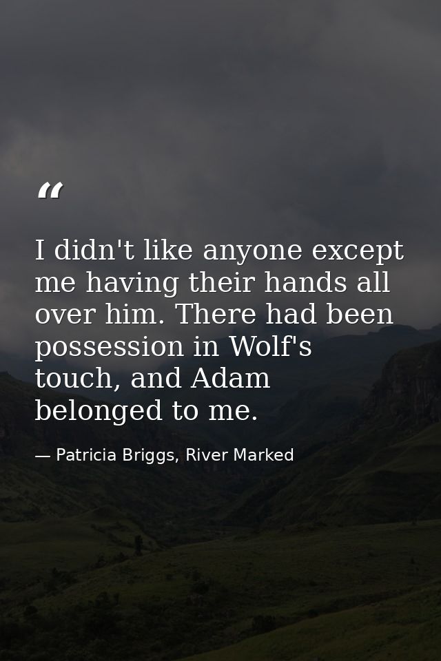 I didn't like anyone except me having their hands all over him. There had been possession in Wolf's touch, and Adam belo — Patricia Briggs, River Marked