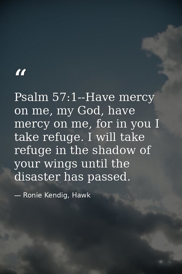 Psalm 57:1--Have mercy on me, my God, have mercy on me, for in you I take refuge. I will take refuge in the shadow of yo — Ronie Kendig, Hawk