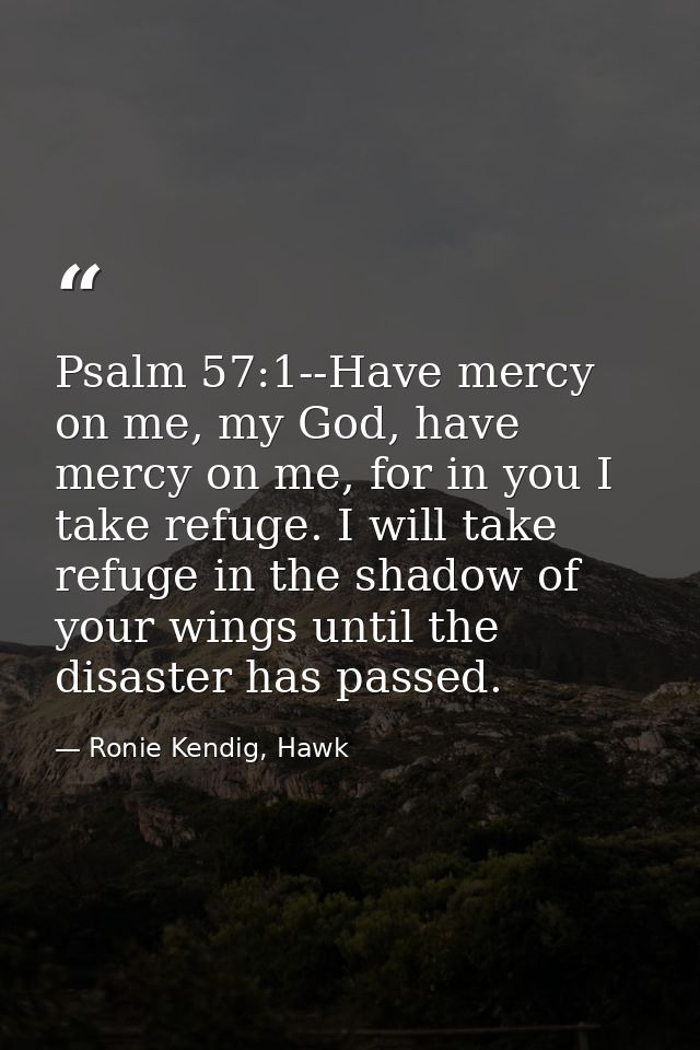 Psalm 57:1--Have mercy on me, my God, have mercy on me, for in you I take refuge. I will take refuge in the shadow of yo — Ronie Kendig, Hawk