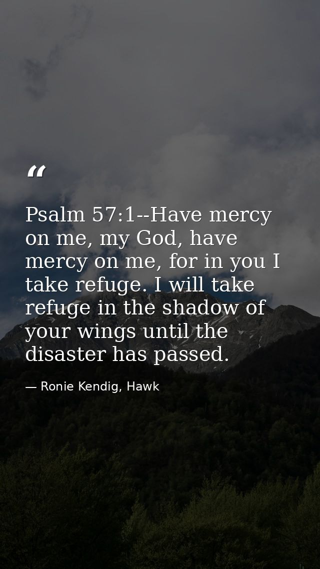 Psalm 57:1--Have mercy on me, my God, have mercy on me, for in you I take refuge. I will take refuge in the shadow of yo — Ronie Kendig, Hawk