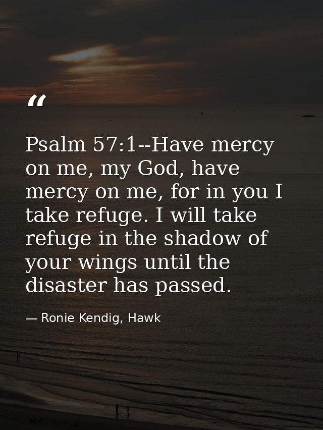 Psalm 57:1--Have mercy on me, my God, have mercy on me, for in you I take refuge. I will take refuge in the shadow of yo — Ronie Kendig, Hawk