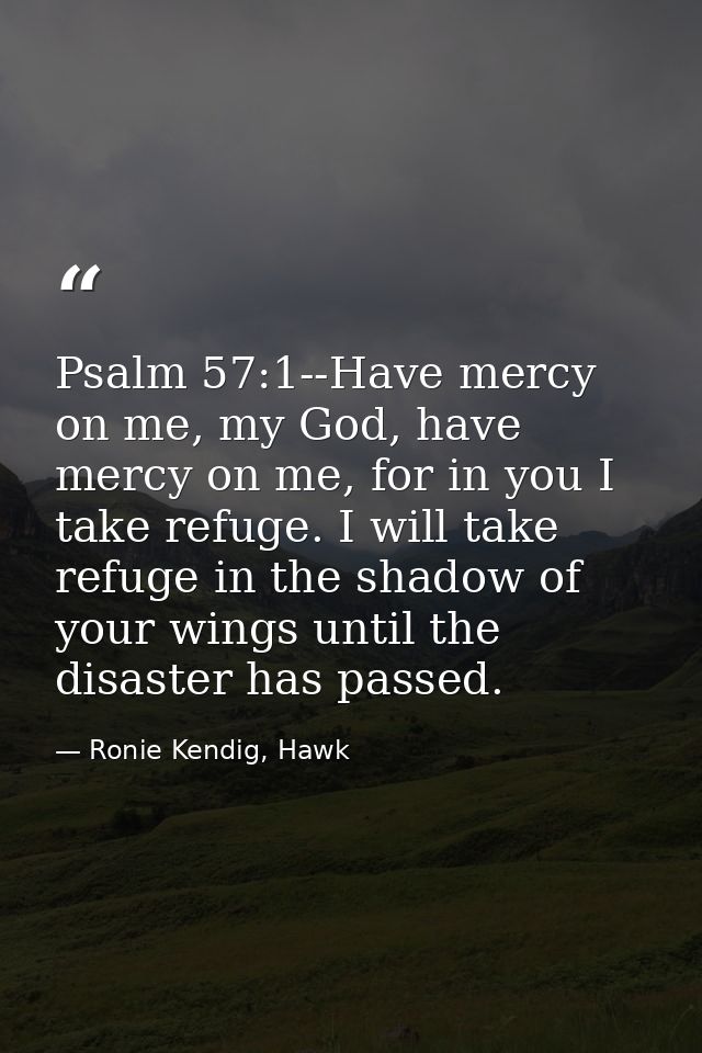 Psalm 57:1--Have mercy on me, my God, have mercy on me, for in you I take refuge. I will take refuge in the shadow of yo — Ronie Kendig, Hawk