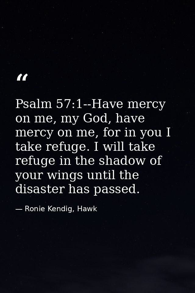 Psalm 57:1--Have mercy on me, my God, have mercy on me, for in you I take refuge. I will take refuge in the shadow of yo — Ronie Kendig, Hawk