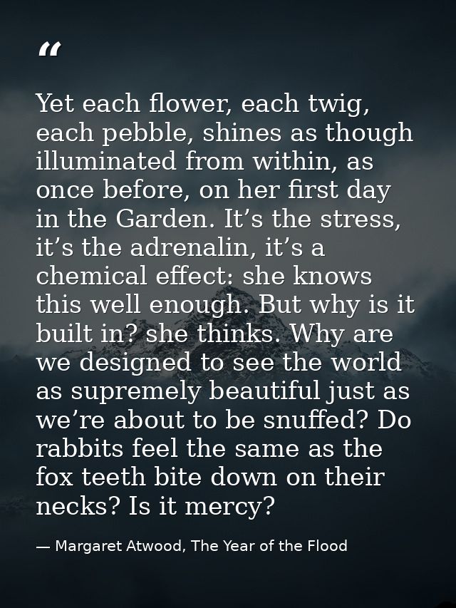 Yet each flower, each twig, each pebble, shines as though illuminated from within, as once before, on her first day in t — Margaret Atwood, The Year of the Flood