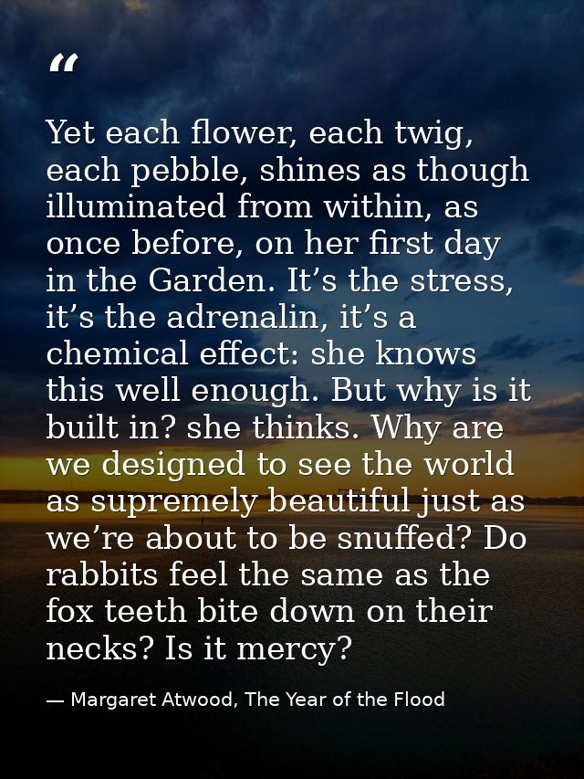 Yet each flower, each twig, each pebble, shines as though illuminated from within, as once before, on her first day in t — Margaret Atwood, The Year of the Flood
