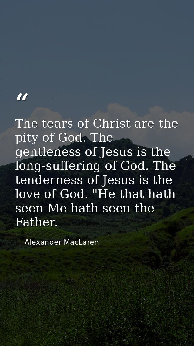 The tears of Christ are the pity of God. The gentleness of Jesus is the long-suffering of God. The tenderness of Jesus i — Alexander MacLaren
