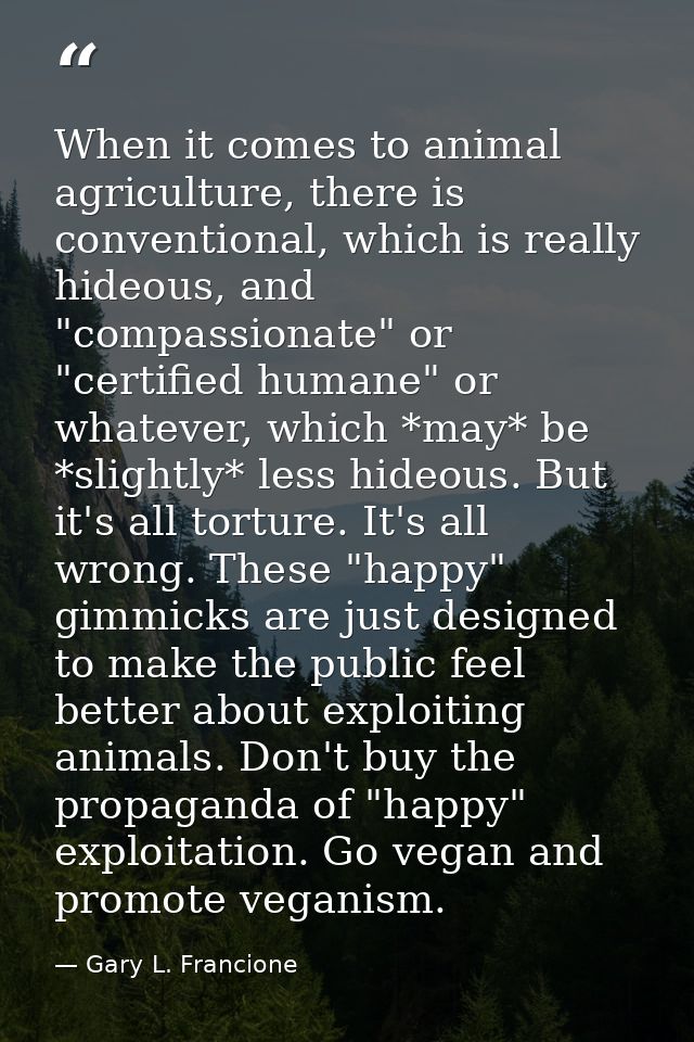 When it comes to animal agriculture, there is conventional, which is really hideous, and "compassionate" or "certified h — Gary L. Francione