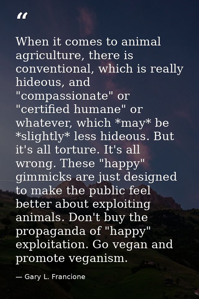When it comes to animal agriculture, there is conventional, which is really hideous, and "compassionate" or "certified h — Gary L. Francione
