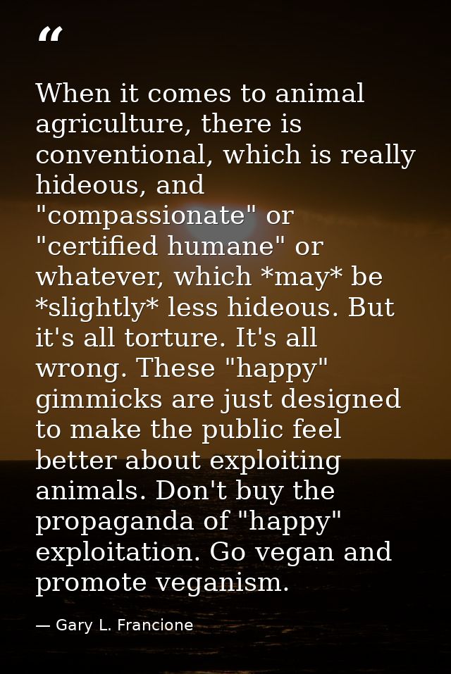 When it comes to animal agriculture, there is conventional, which is really hideous, and "compassionate" or "certified h — Gary L. Francione