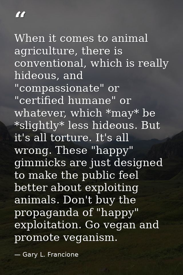 When it comes to animal agriculture, there is conventional, which is really hideous, and "compassionate" or "certified h — Gary L. Francione