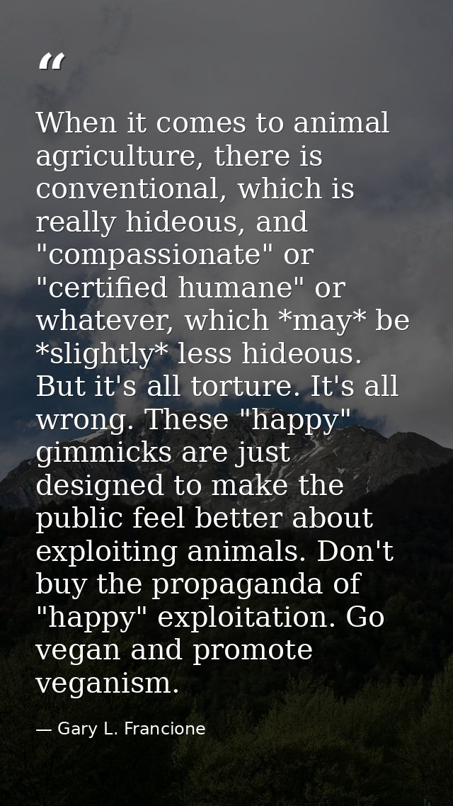 When it comes to animal agriculture, there is conventional, which is really hideous, and "compassionate" or "certified h — Gary L. Francione