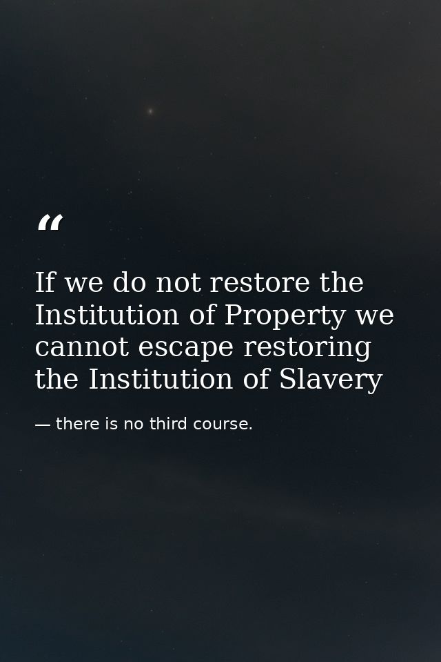 If we do not restore the Institution of Property we cannot escape restoring the Institution of Slavery — there is no third course.