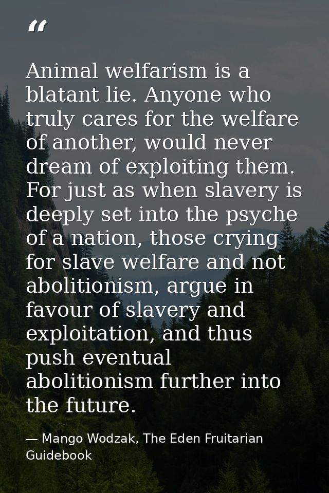 Animal welfarism is a blatant lie. Anyone who truly cares for the welfare of another, would never dream of exploiting th — Mango Wodzak, The Eden Fruitarian Guidebook