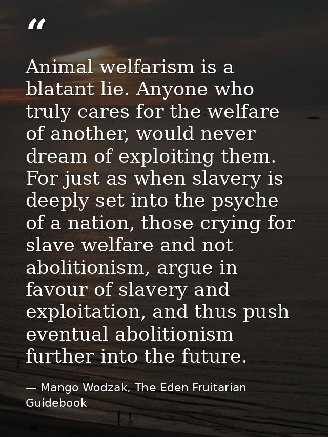 Animal welfarism is a blatant lie. Anyone who truly cares for the welfare of another, would never dream of exploiting th — Mango Wodzak, The Eden Fruitarian Guidebook