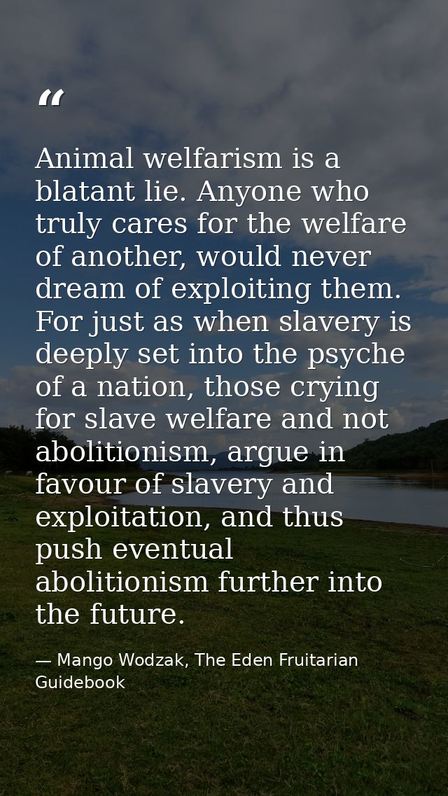 Animal welfarism is a blatant lie. Anyone who truly cares for the welfare of another, would never dream of exploiting th — Mango Wodzak, The Eden Fruitarian Guidebook