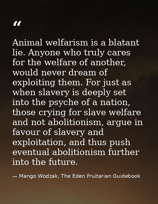 Animal welfarism is a blatant lie. Anyone who truly cares for the welfare of another, would never dream of exploiting th — Mango Wodzak, The Eden Fruitarian Guidebook