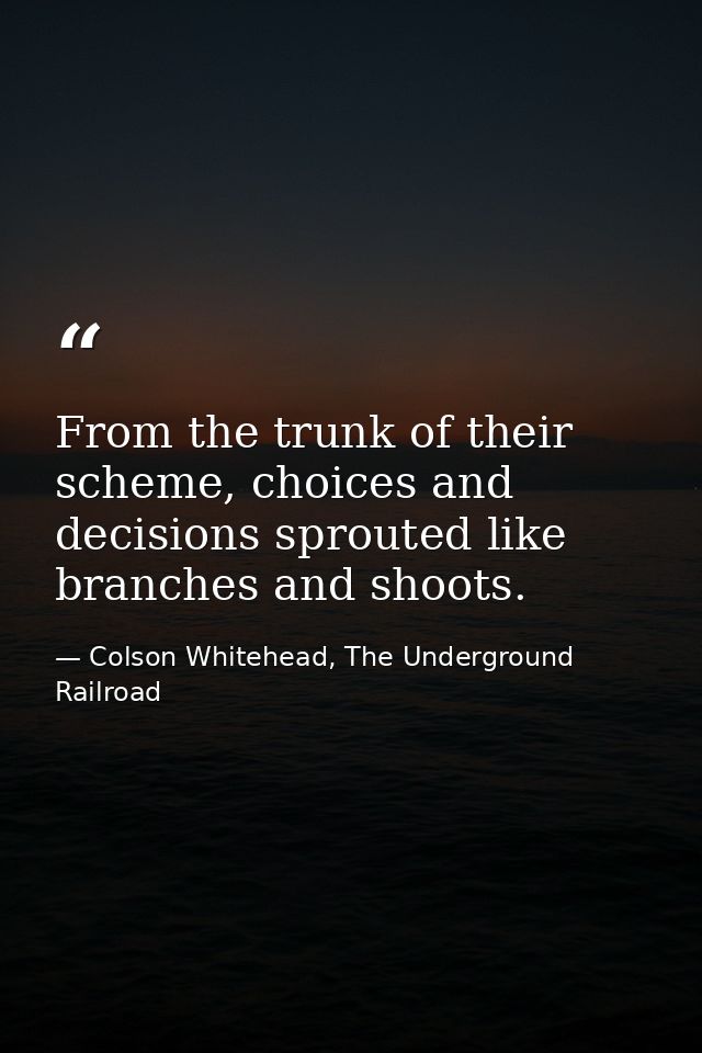From the trunk of their scheme, choices and decisions sprouted like branches and shoots. — Colson Whitehead, The Underground Railroad