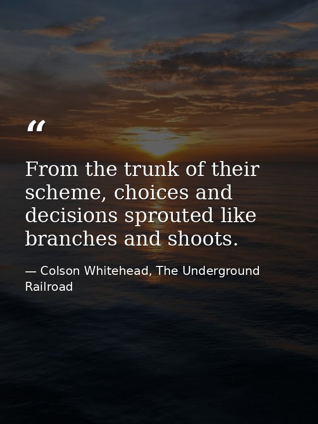 From the trunk of their scheme, choices and decisions sprouted like branches and shoots. — Colson Whitehead, The Underground Railroad